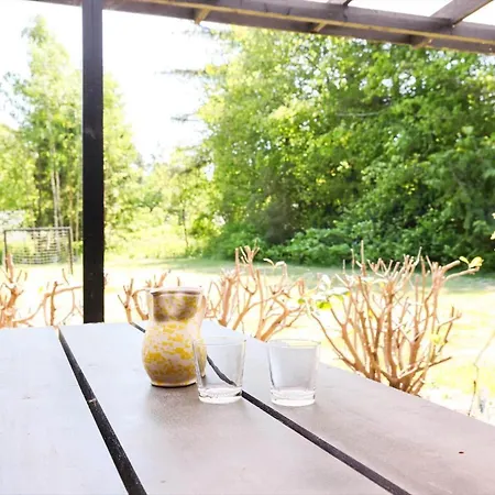 10000-1-rorvig-birkealle-2-a בית נופש *